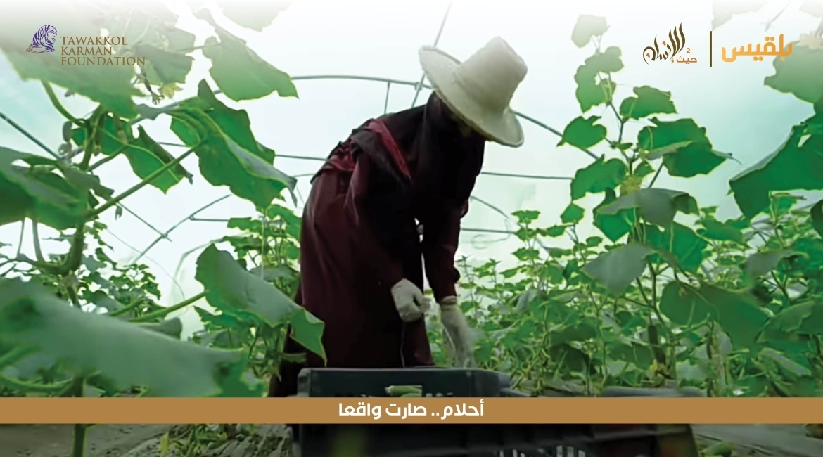 مؤسسة توكل كرمان تدعم مهندسة لتنفيذ مشروعها الزراعي 